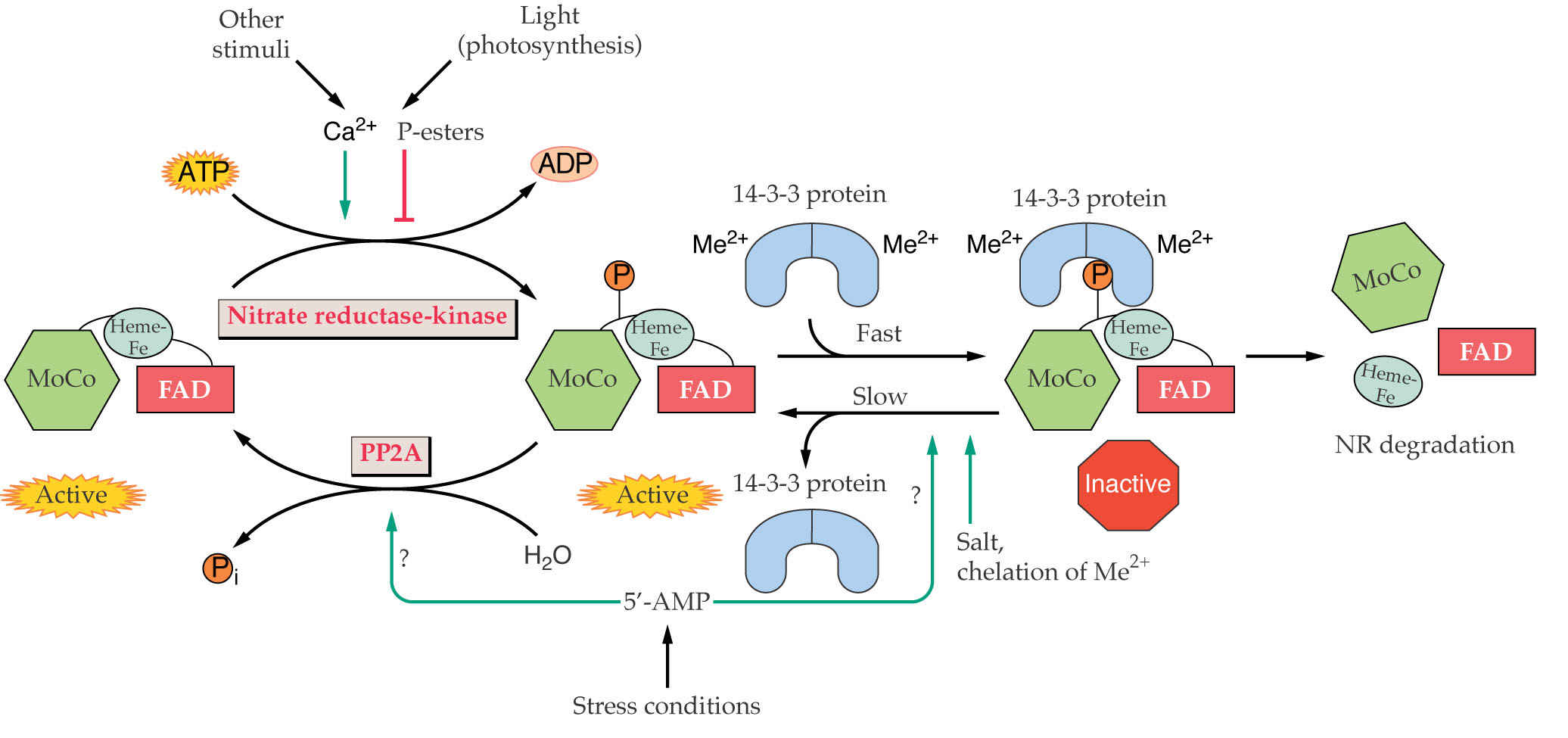 BCH/PLS/PPA 609 Lecture Twentythree Web Notes